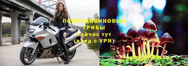 ешки Белоозёрский