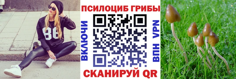 Галлюциногенные грибы Psilocybine cubensis  Кузнецк 