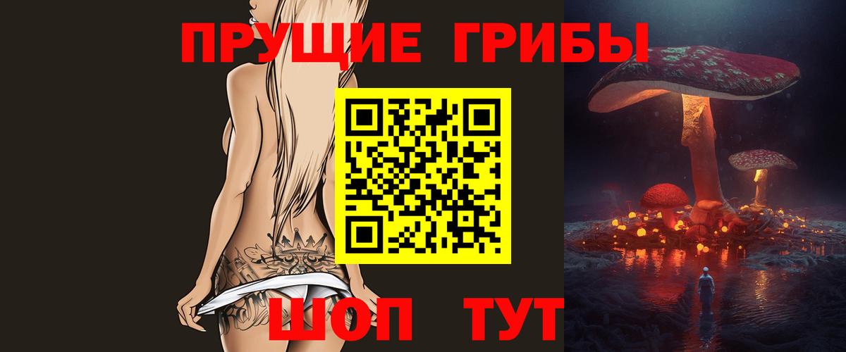 Псилоцибиновые грибы мицелий Кузнецк